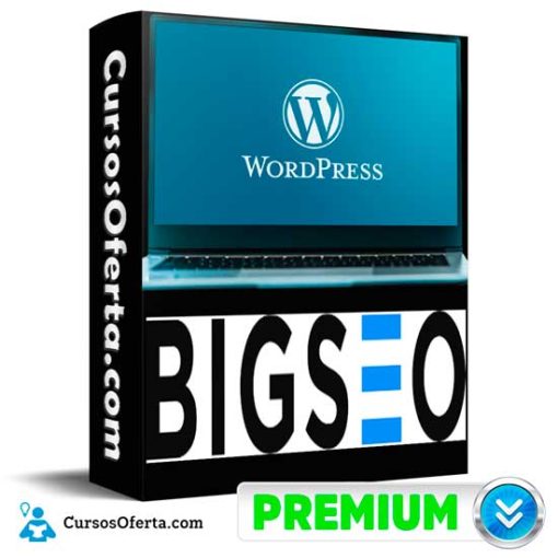 Curso de WordPress de Big Seo 15 curso de wordpress de big seo 652deee0669ca