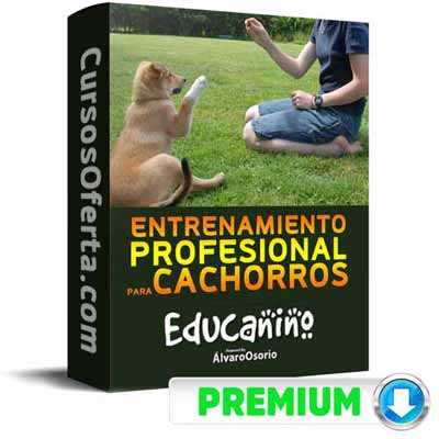 curso educanino alvaro osorio 652db394ab544