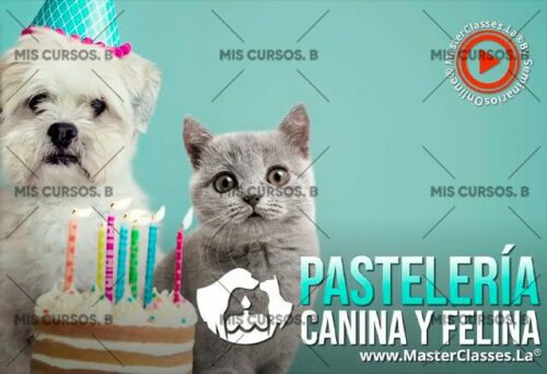 Pastelería Canina y Felina 59 pasteleria canina y felina 652b95f61c7eb